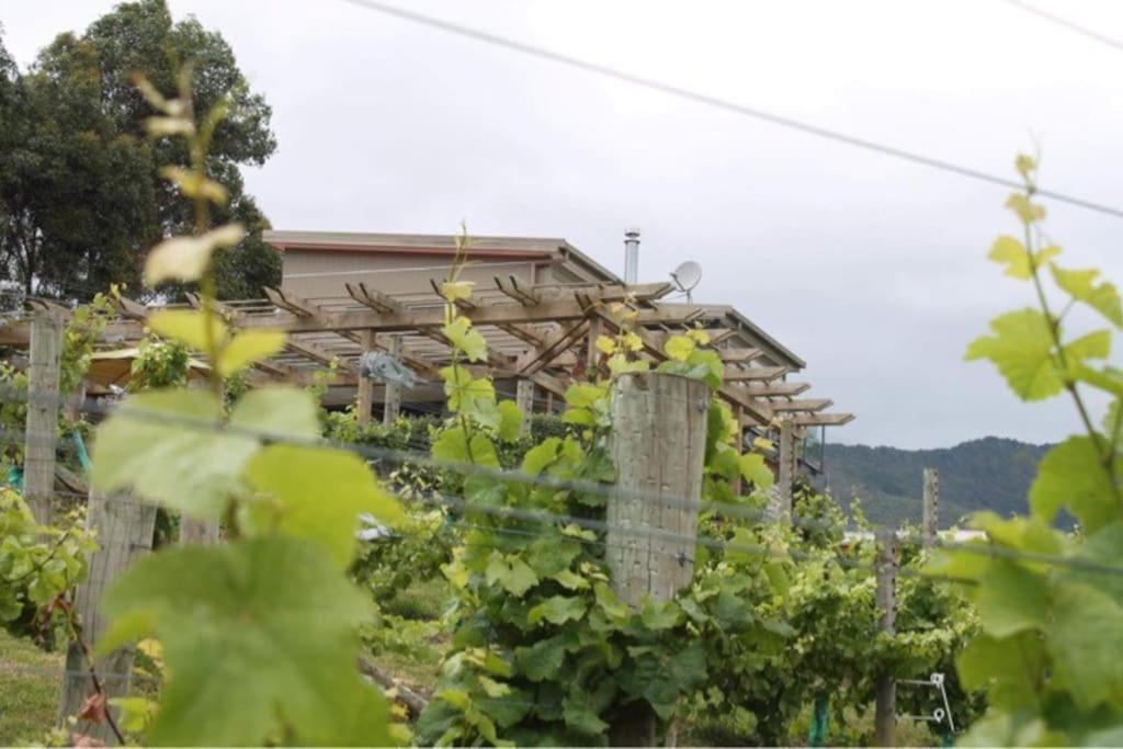 Maymorn Orchard Suites Upper Hutt Exterior photo